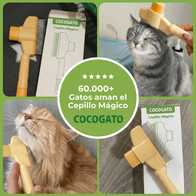Zauberbürste CocoCat