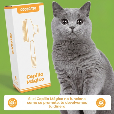 Zauberbürste CocoCat