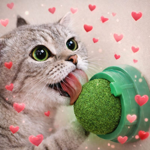 Cocopets™ Bola Rodante de Catnip