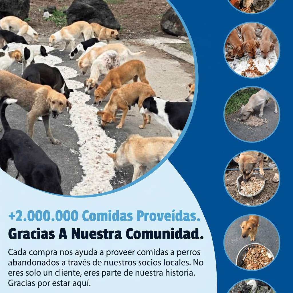 +2.000.000 comidas proveídas