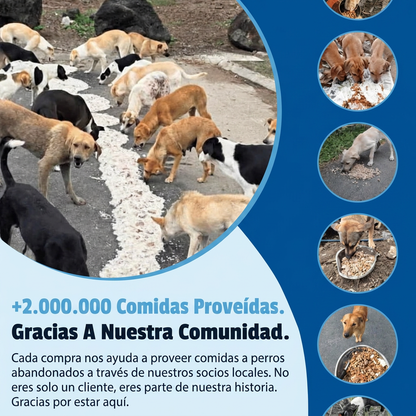 +2.000.000 comidas proveídas