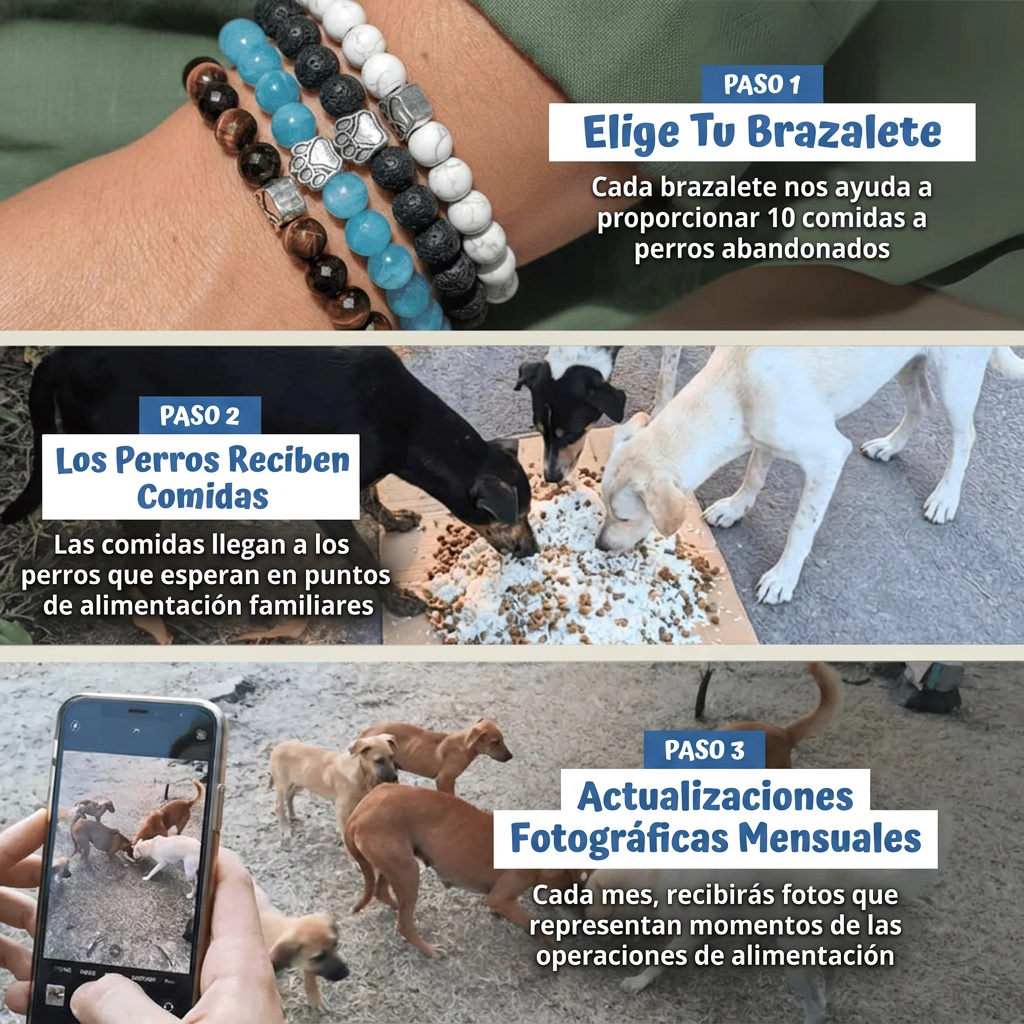 Cómo funciona