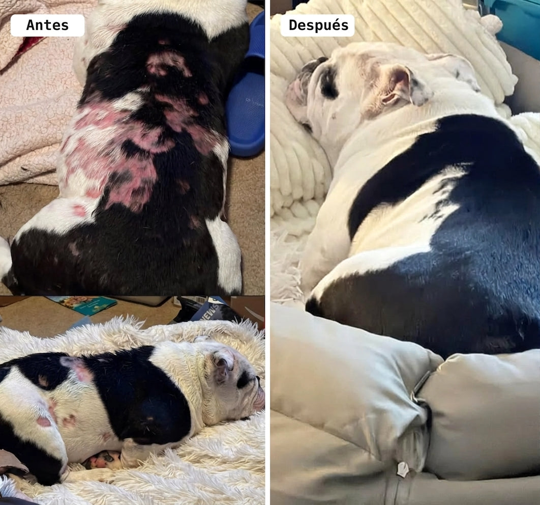 ¡Fomenta el juego saludable,