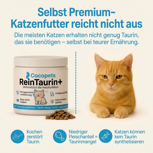 ReinTaurin+