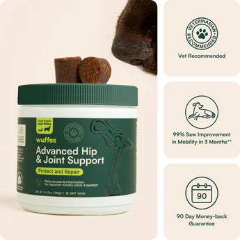 Cocopets Suplementos