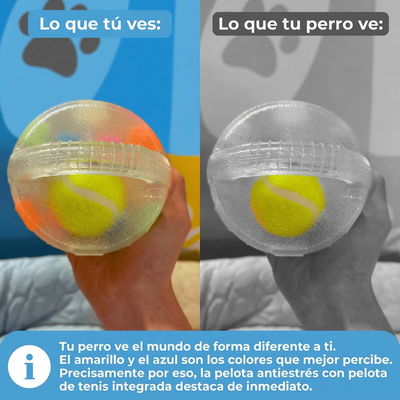 Pelota Antiestrés