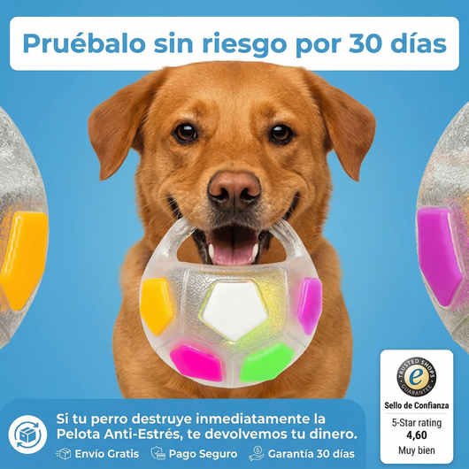 Pelota Antiestrés