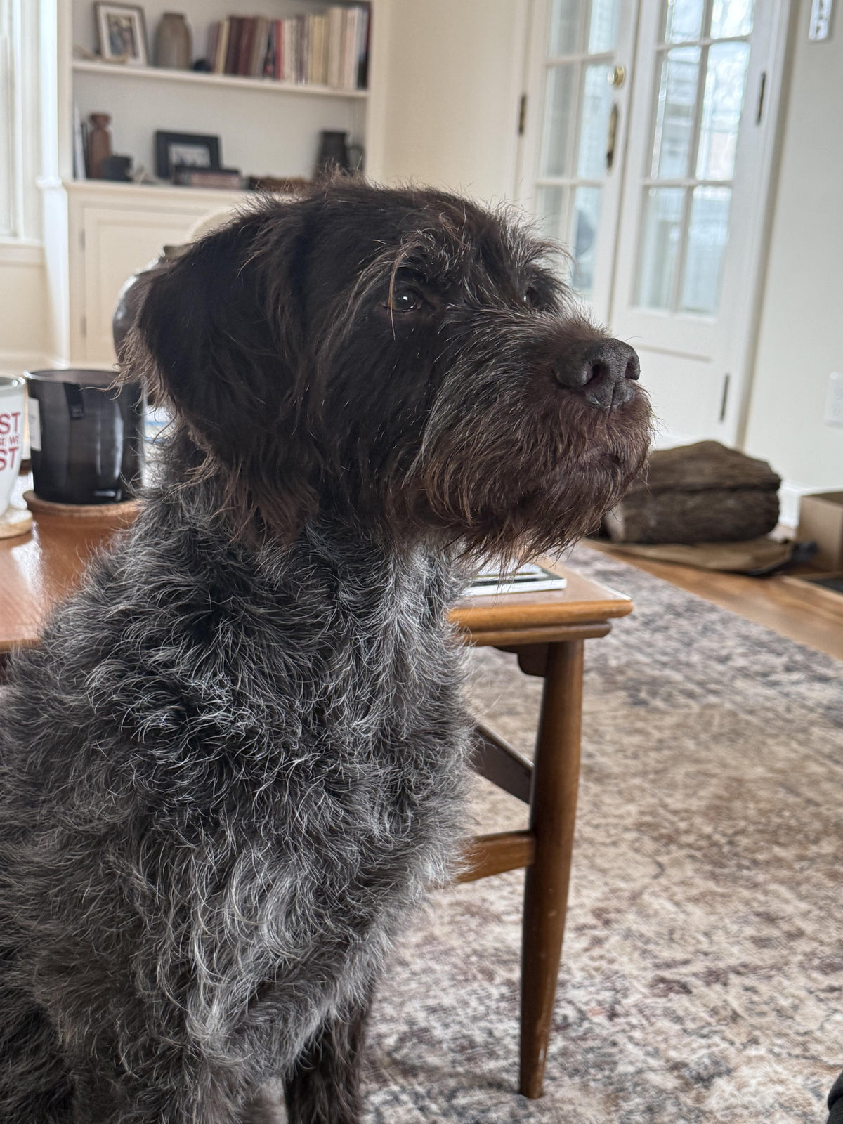 Benefits illustration