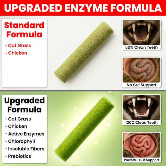 Mejora a Fórmula Enzimática Premium (Todos los Packs)